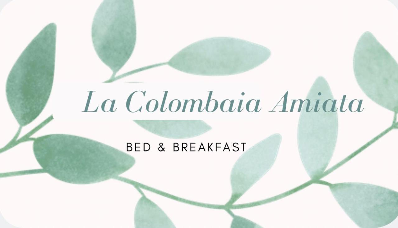 La Colombaia Amiata Bed and Breakfast Arcidosso Eksteriør billede